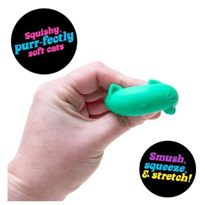 Teenie NeeDoh Cool Cats 4-Pack